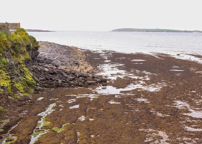 Tig Davy Holiday home